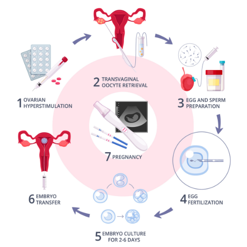 IVF In Ahmedabad